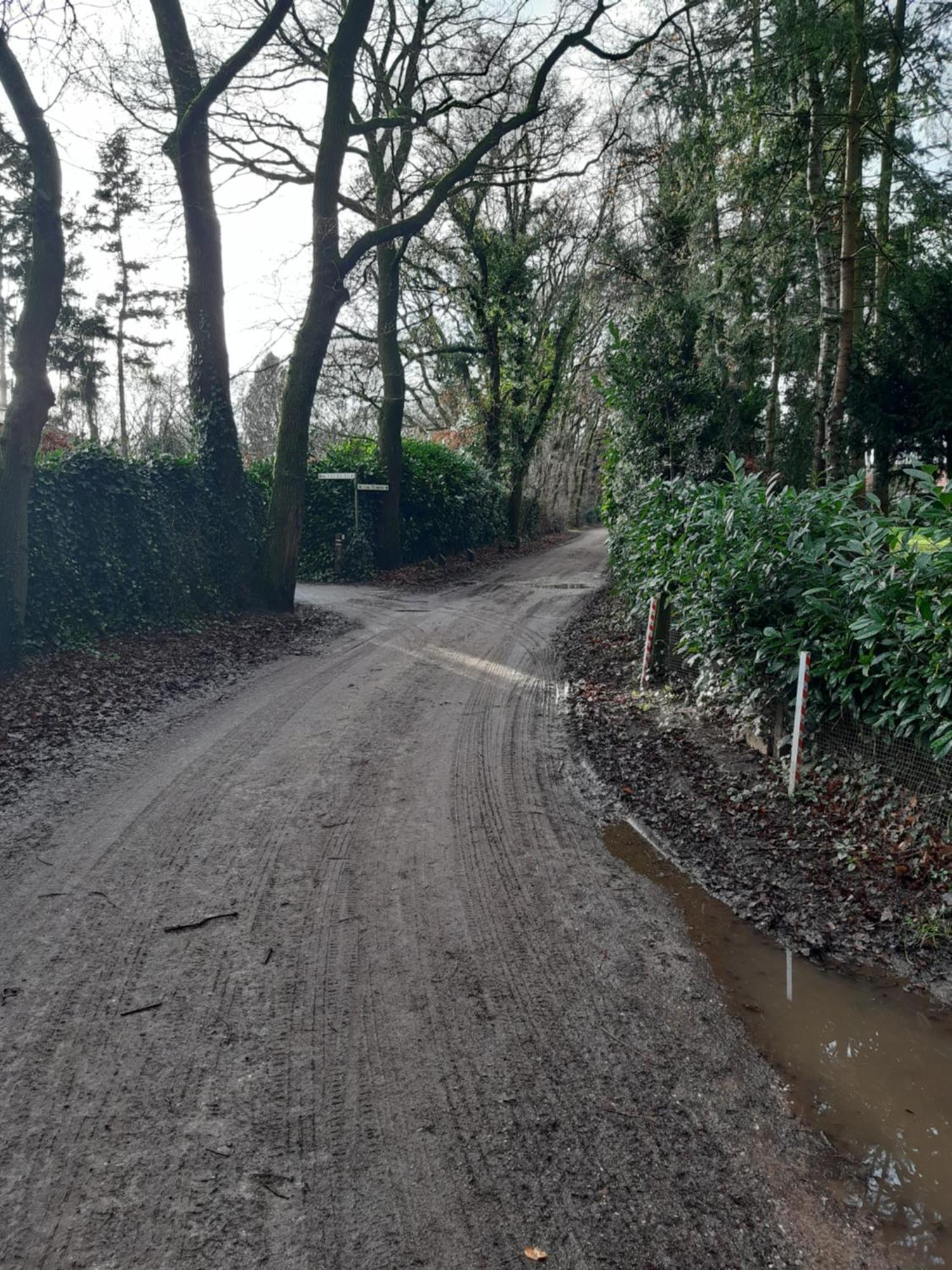 Huinerhofje 3 - Vrijstaand, Grote Tuin, Rust En Veel Privacy Nabij Uitgestrekte Bossen Villa Putten Eksteriør billede